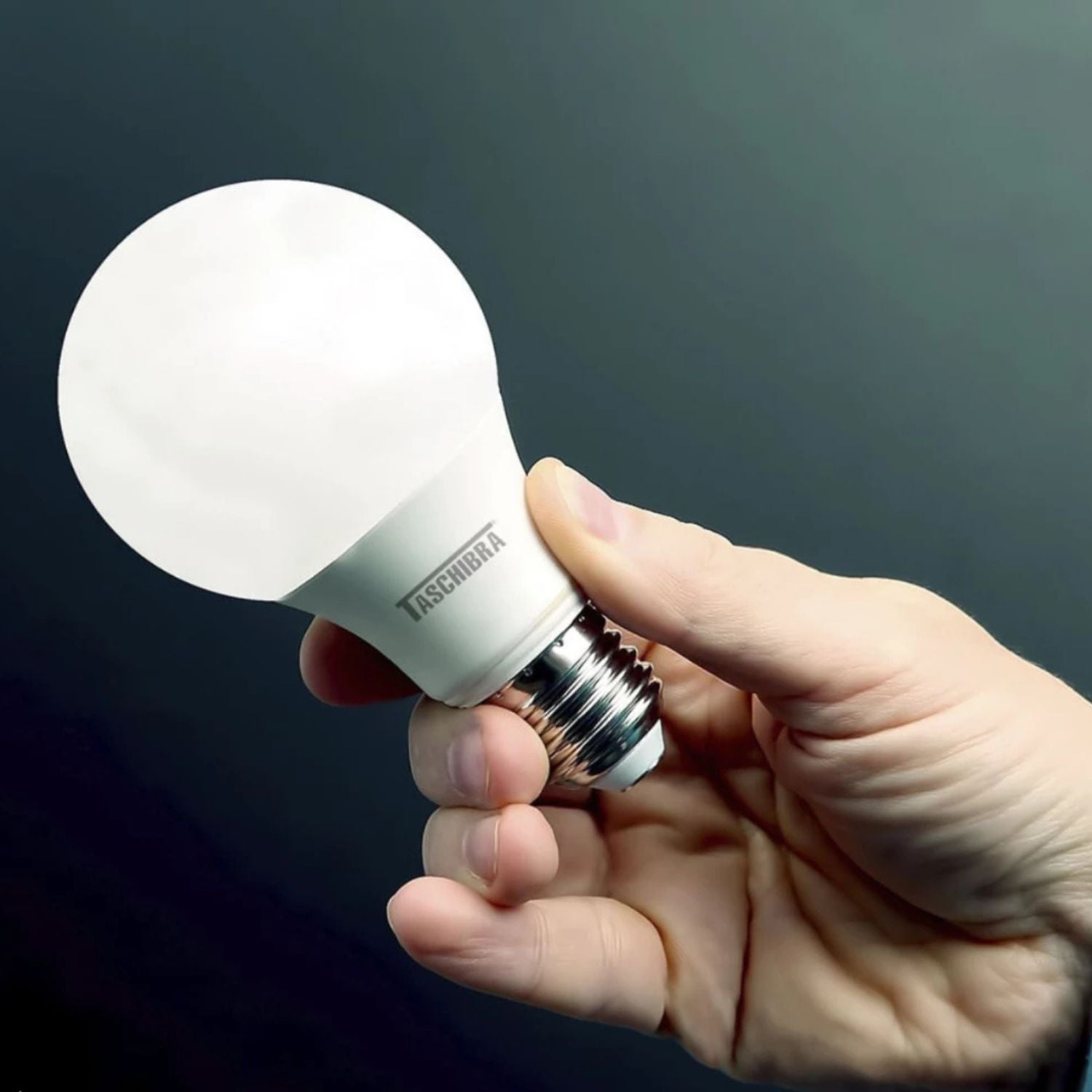 Lâmpada Bulbo LED 17W - Taschibra