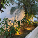 FINCO DE JARDIM LED 6W 2700K 360LM 30° IP66 BIVOLT INTERLIGHT